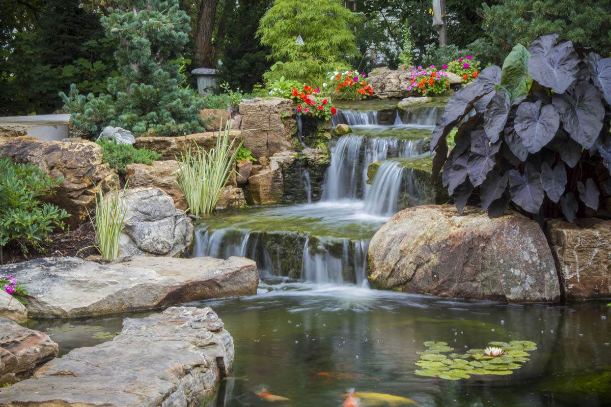 The Healing Power of Water Features