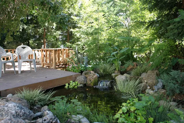 A shady spot on the deck provides cool relief on hot summer days, while the pond helps to lower the temperature.