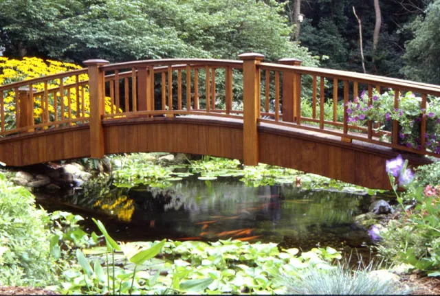 Bridge over backyard pond with koi