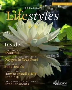 Aquascape Lifestyles Magazine The spring/summer issue of Aquascape Lifestyles magazine is now available! View the flip version, or download the pdf file.