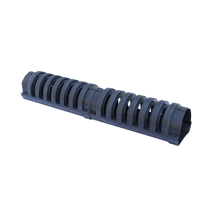 Large Centipede