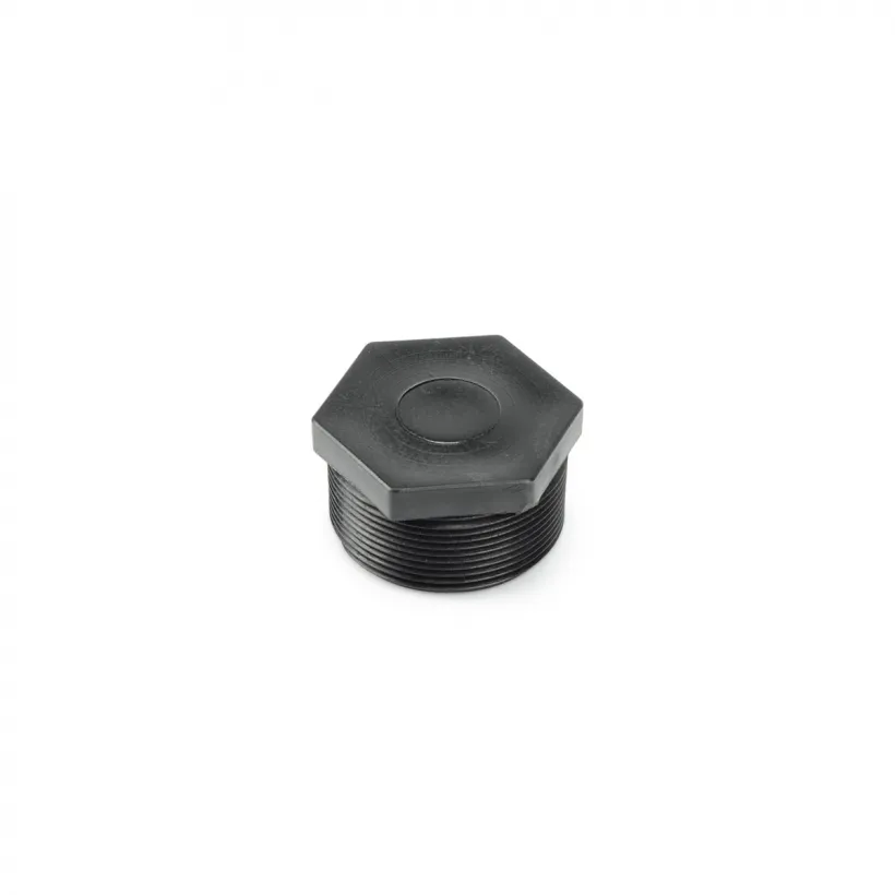 Hex-Head Plug 2" MPT
