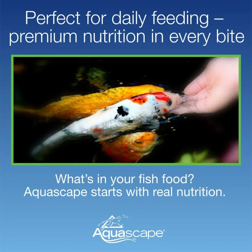 Premium Staple Fish Food Pellets - Image 4