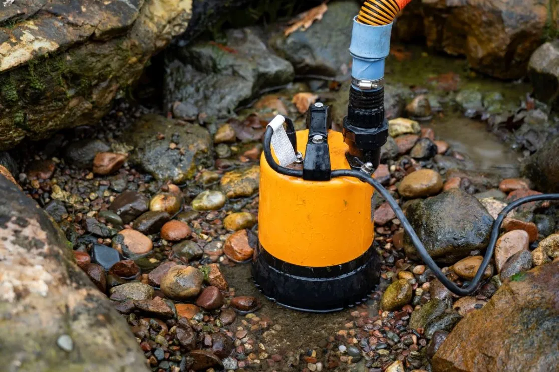 LSR Cleanout Pump - Image 2