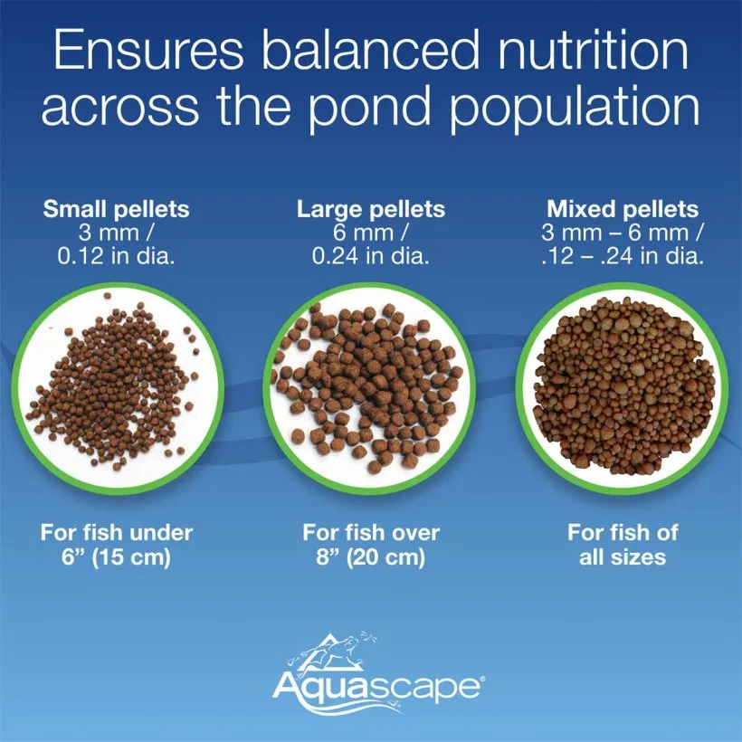 Premium Staple Fish Food Pellets - Image 5