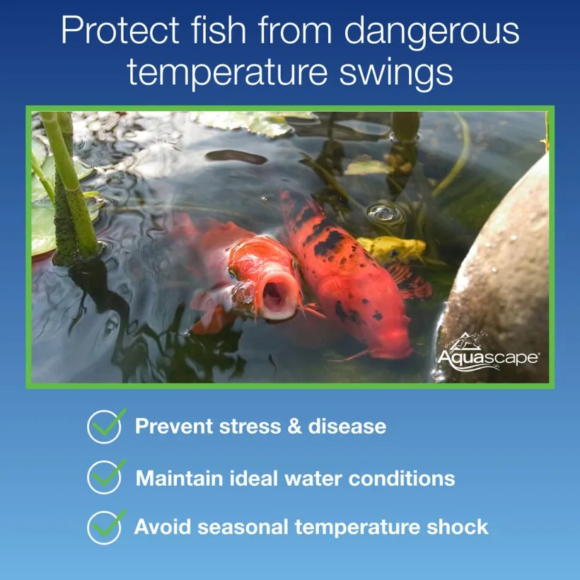 Smart Pond Thermometer Fish