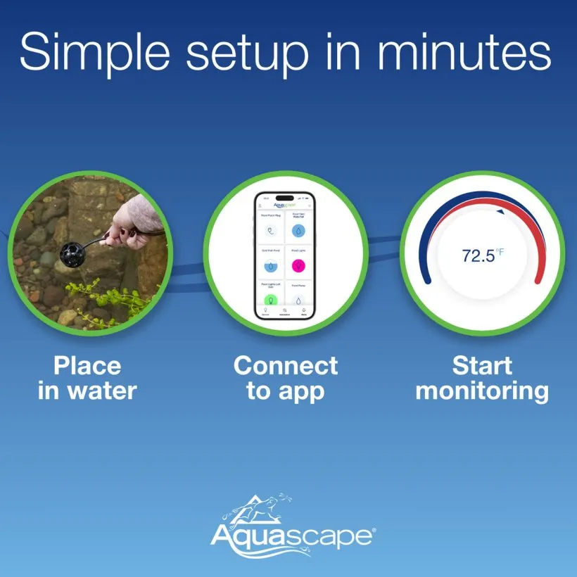 Smart Pond Thermometer Setup