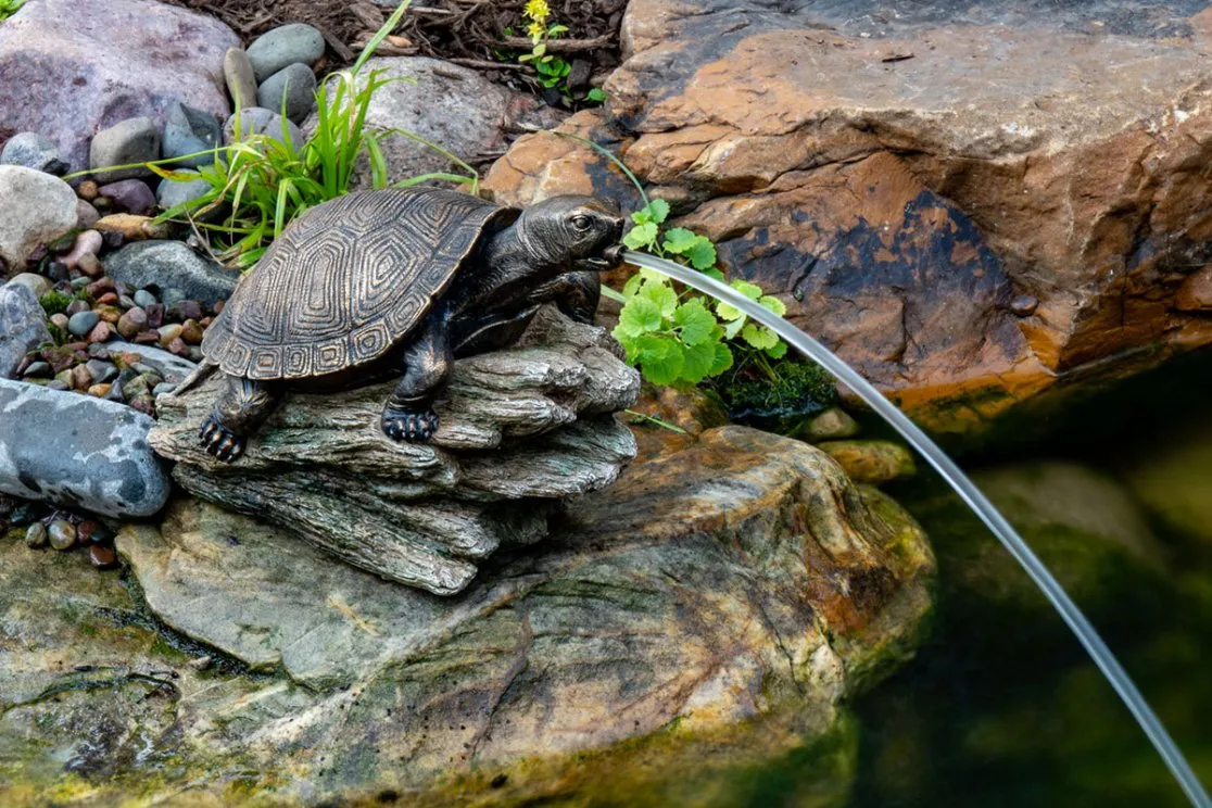 Turtle On Log Spitter - Image 8