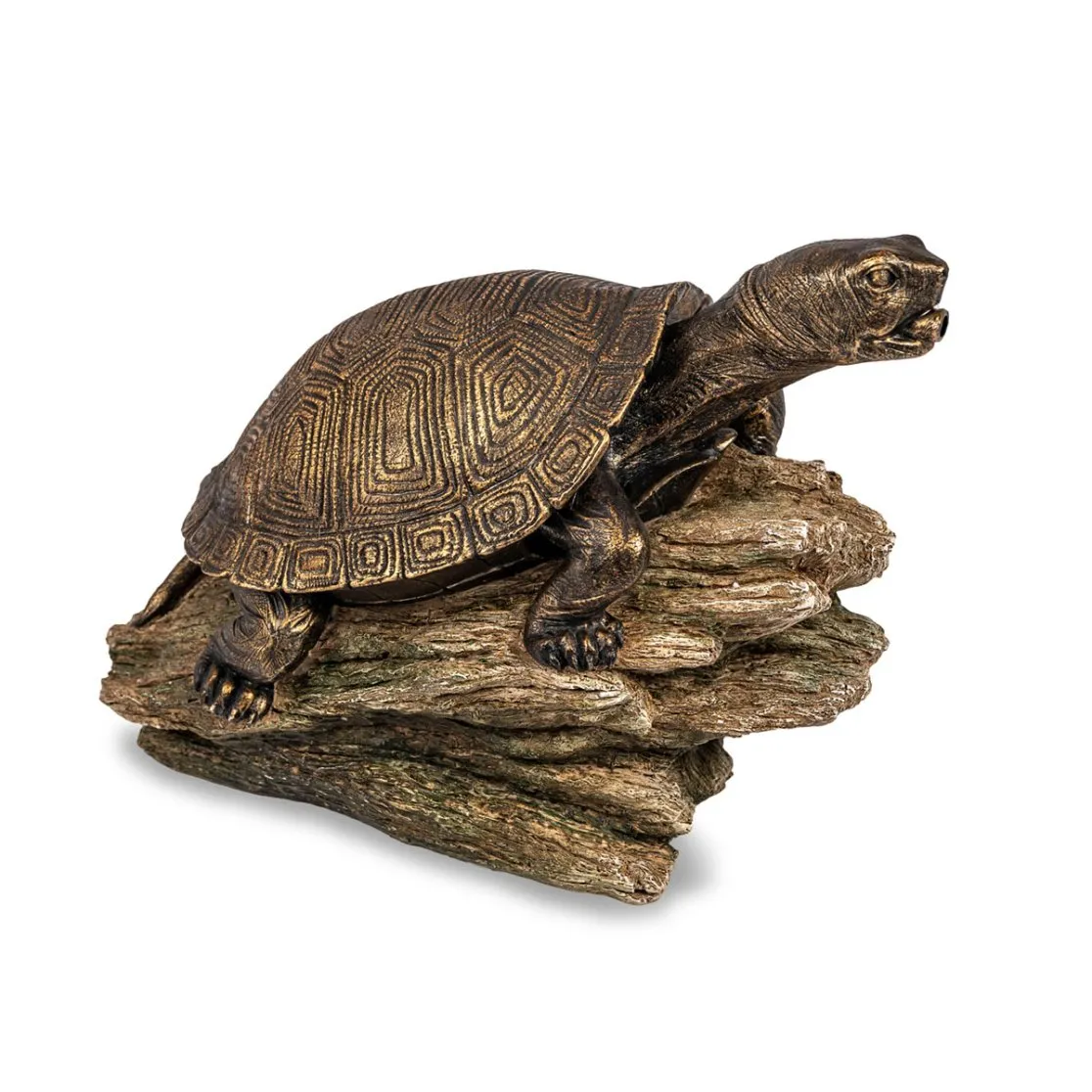 Turtle On Log Spitter - Image 4