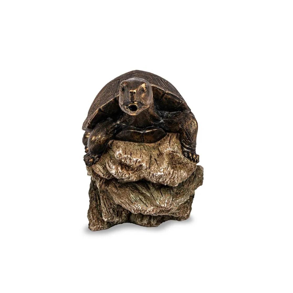Turtle On Log Spitter - Image 3