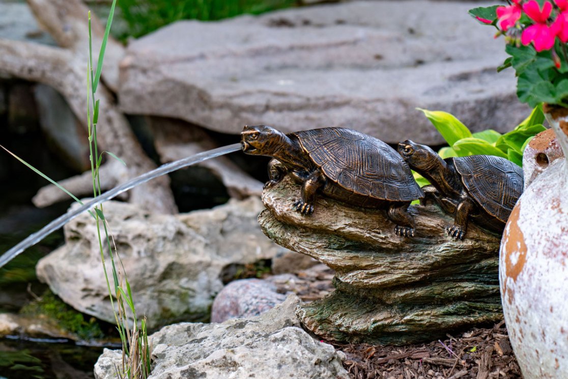 Double Turtle On Log Spitter - Image 8