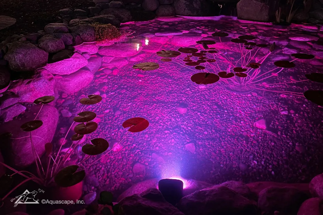 Color-Changing Wide-Angle Light 11-Watt - Image 2