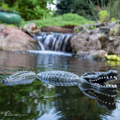 Floating Alligator Decoy for Pond Predator Control