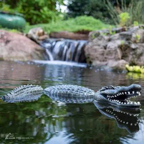 Floating Alligator Decoy for Pond Predator Control