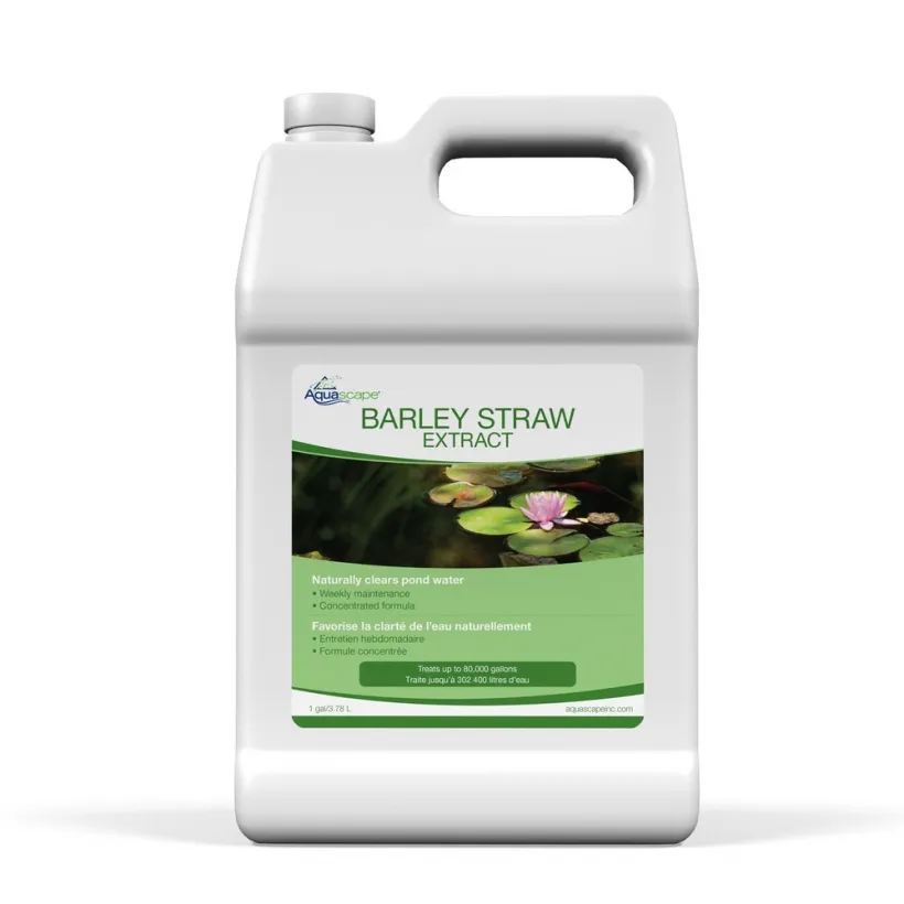 Barley Straw Extract - Image 5