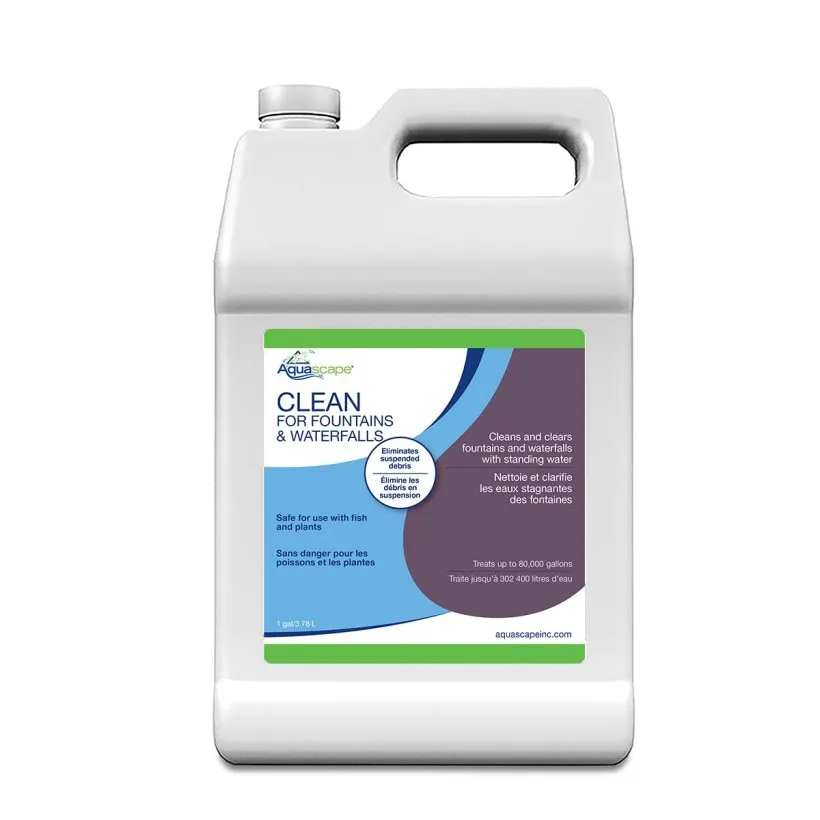 Clean for Fountains and Waterfalls - Image 5