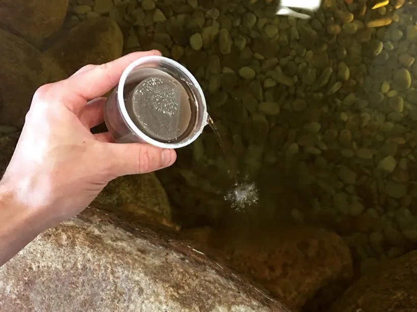 Quickfix Pond Gummy - Image 2