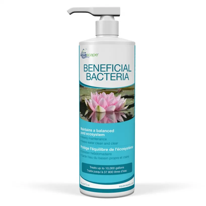 Beneficial Bacteria