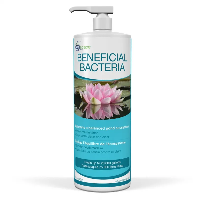 Beneficial Bacteria - Image 4