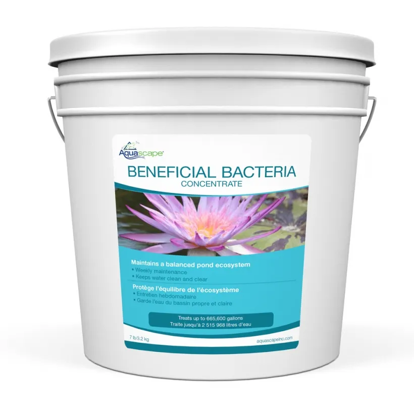 Beneficial Bacteria Concentrate - Image 5