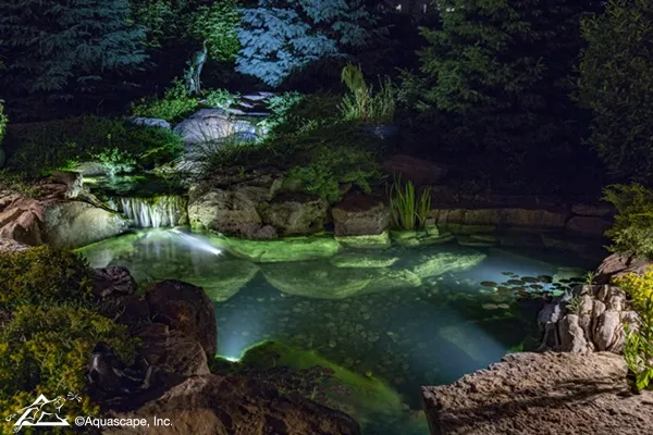 Pond and Waterfall with Night Lighting