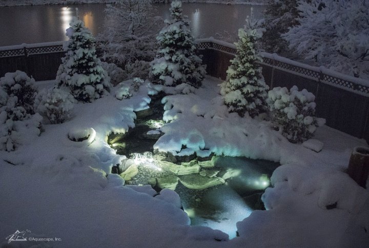 winter backyard pond