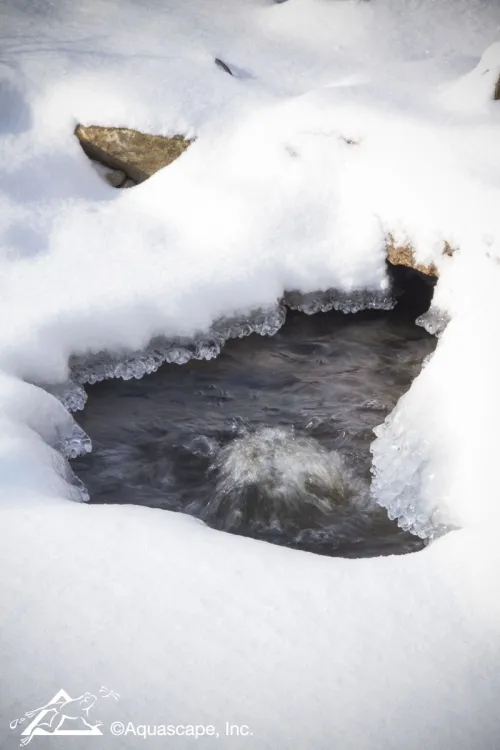Winter Pond Keeping