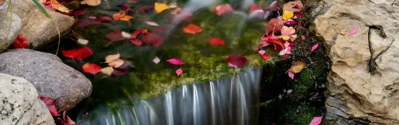 red leaves on waterfall in autumn