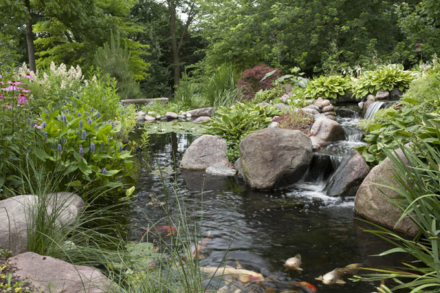 Spilling waterfalls with colorful flowers and swimming koi fish