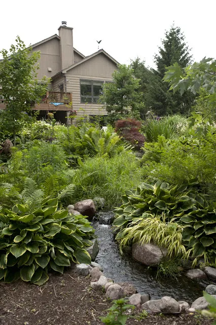 A gentle stream winds through the landscape and intermingles with its lush surroundings.