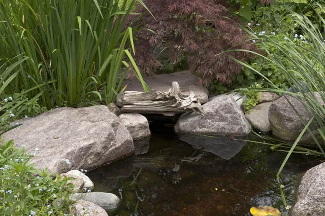 A small piece of driftwood hides the edge of a pond skimmer.