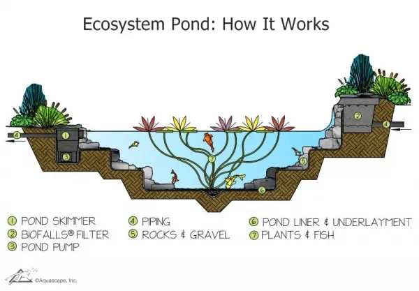 koi pond filter pump