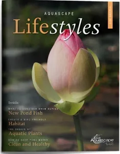 Aquascape Lifestyles Magazine - Summer 2019