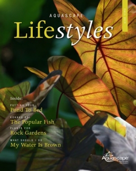 Aquascape Lifestyles Fall Edition - Free Digital Magazine About Ponds and Water Gardens