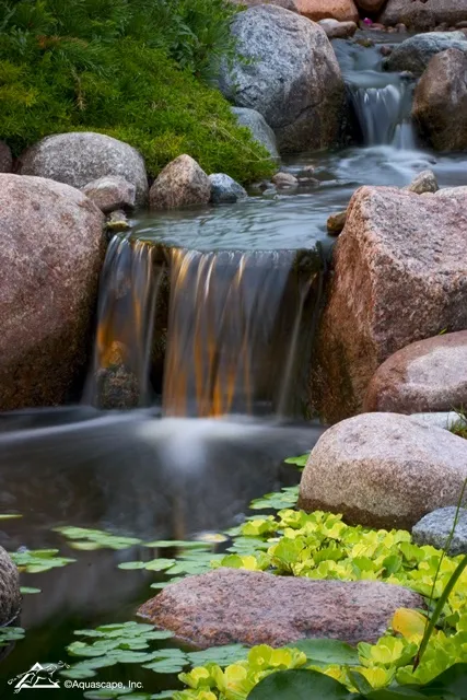 Aquascape Waterfall with Healthy Water