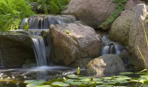 Aquascape Waterfall