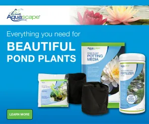Pond Plant Care Products by Aquascape