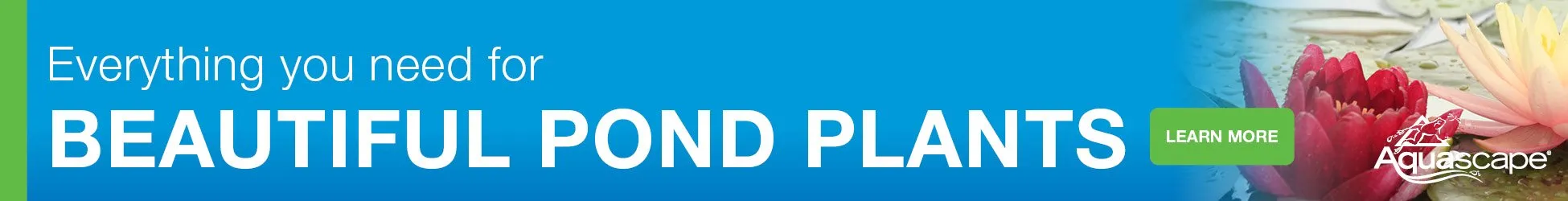 Aquascape Pond Plant Care