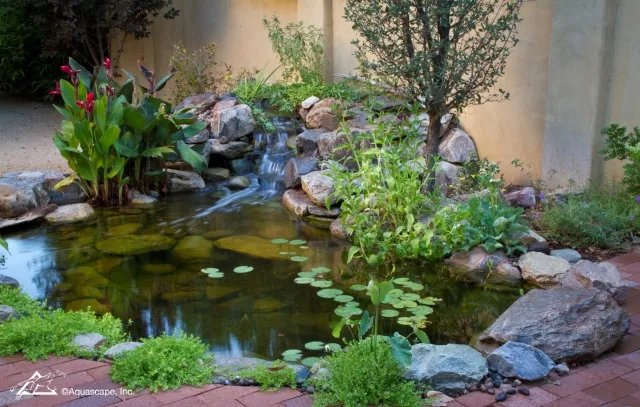 Aquascape Ecosystem Pond in Arizona - with Clean Water