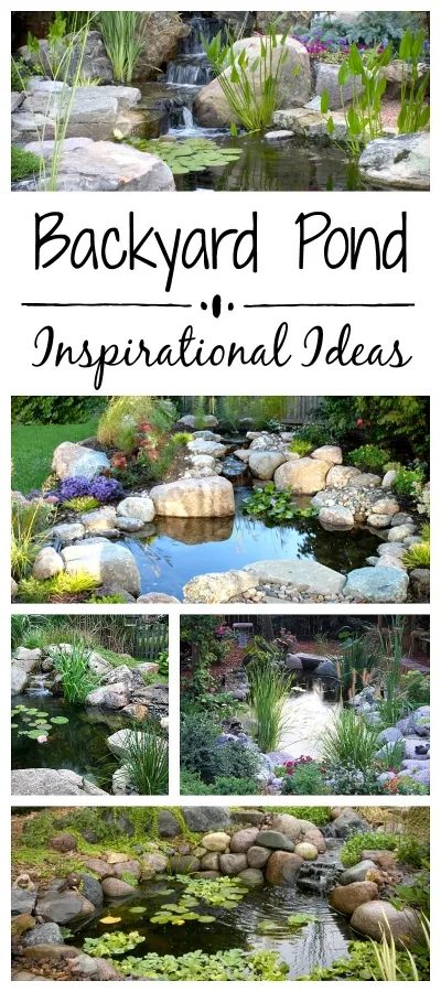 Small Ponds - Inspirational Ideas