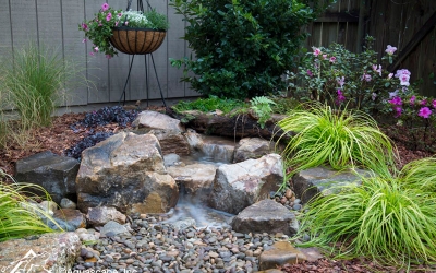 Backyard-Waterfall-Watermark