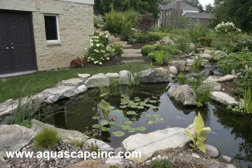 Aquascape Backyard with Pond