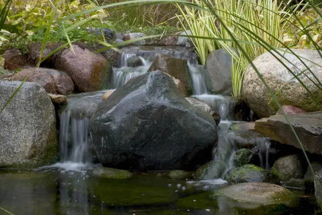 Moss will thrive on the cool surface of rocks surrounding a gentle waterfall such as this one.