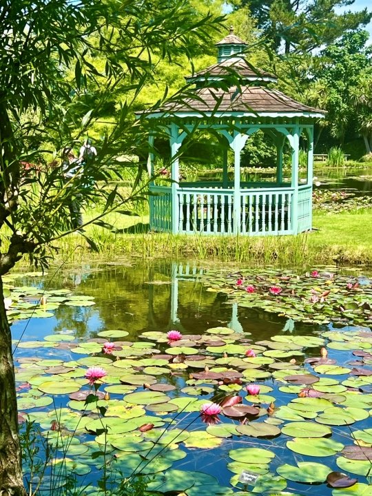 Gazebo at Bennett's Water Gardens in Dorset, UK