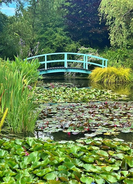 Bennett's Water Gardens in the UK