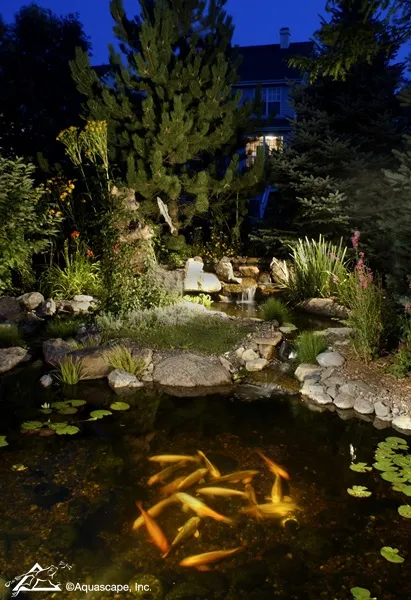 Koi Pond with Underwater Lighting
