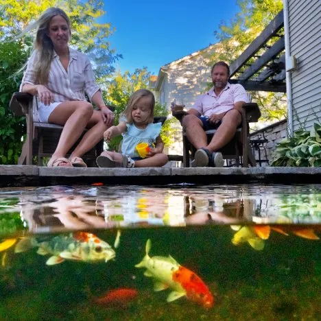 Over-under pond photo. Summer pond care.