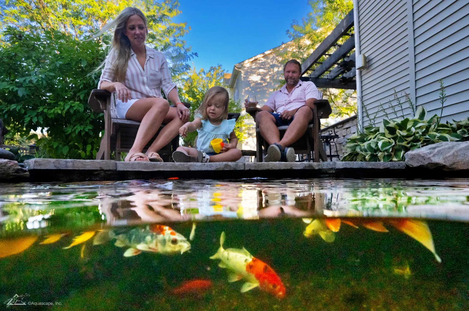Over-under pond photo. Summer pond care.