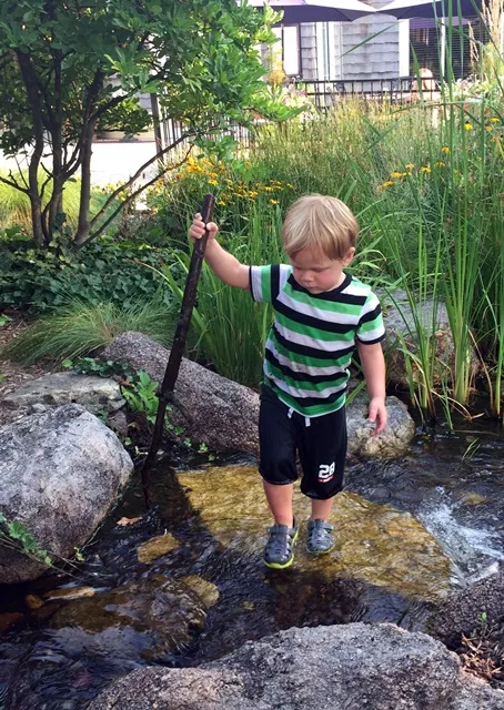 Young Boy Explores Aquascape Stream