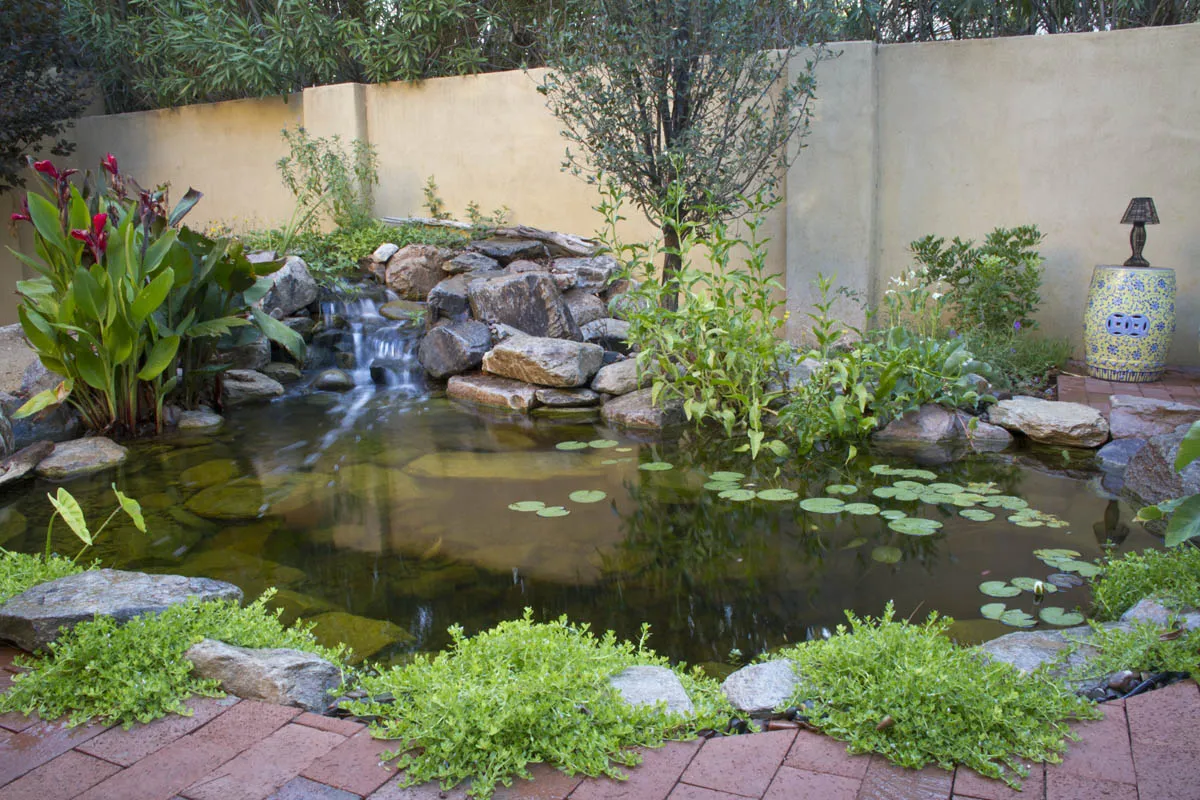 Aquascape Ecosystem Pond